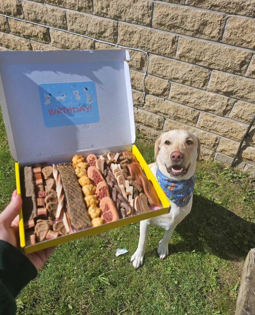 DOGraze – snacks e guloseimas - Cão por atacado – Caixa de Petiscos para Cães - SABOR PEIXE6