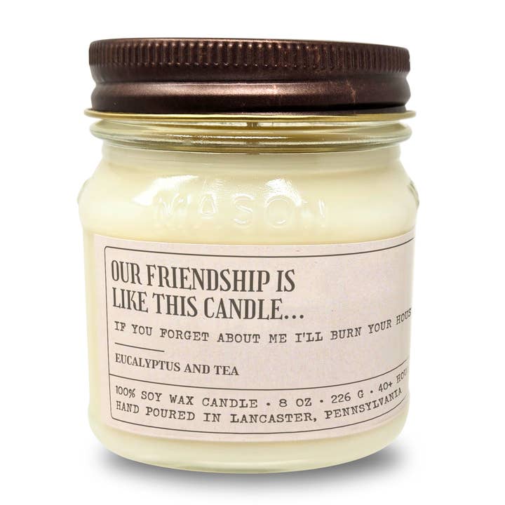 Sleazy Greetings - Wholesale Novelty candle - Our Friendship Is Like This Candle - Funny Candle 8oz Soy1