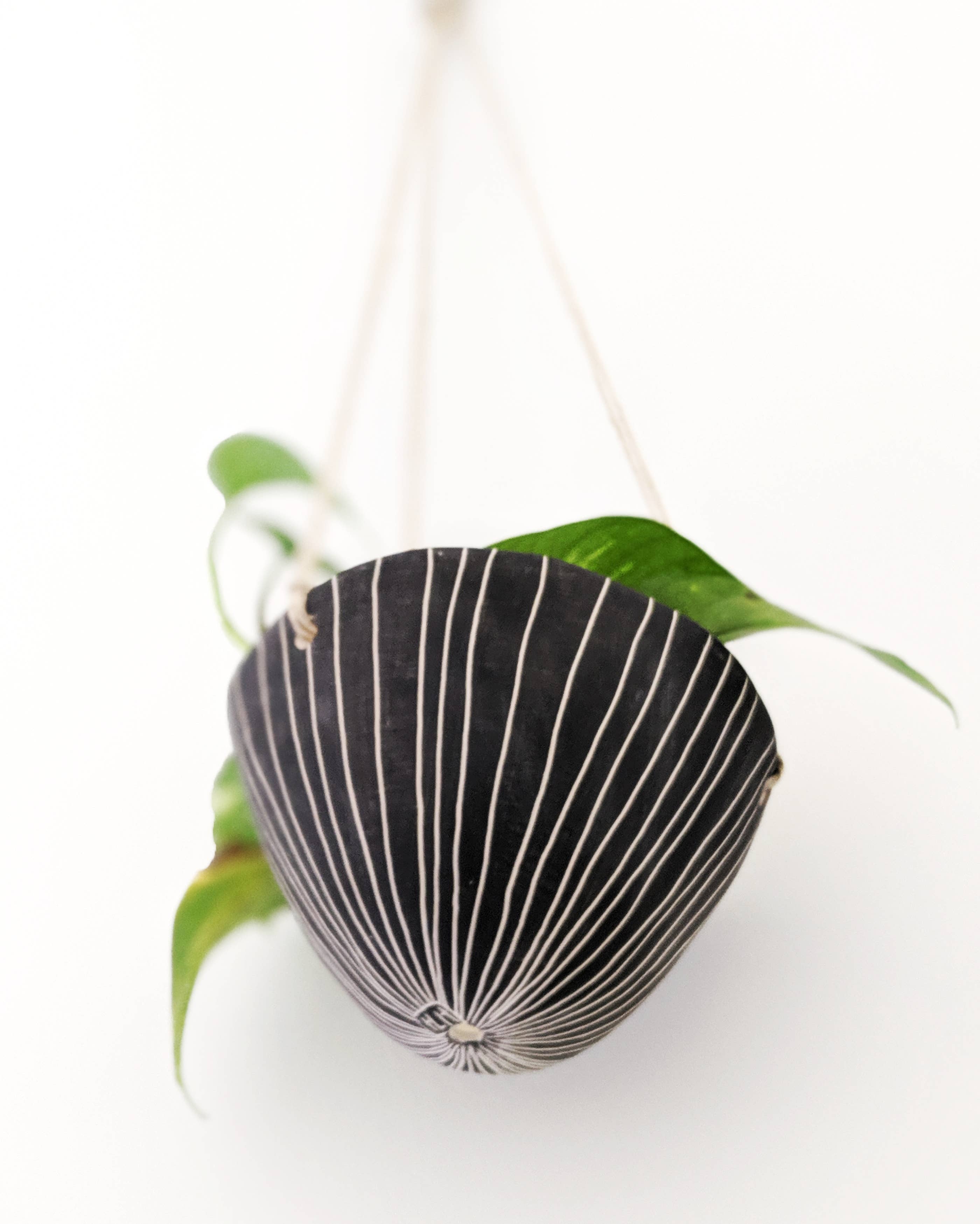 Half Light Honey - Wholesale Hanging Planter - Vertical Line Hanging Planter in Black & White3