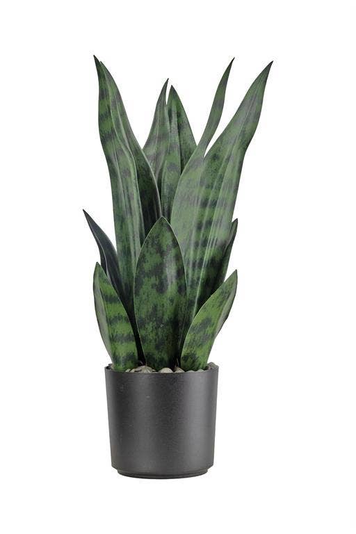 Select Artificials, Inc. - Wholesale Artificial Plant - Snake Plant in Pot 15" Green