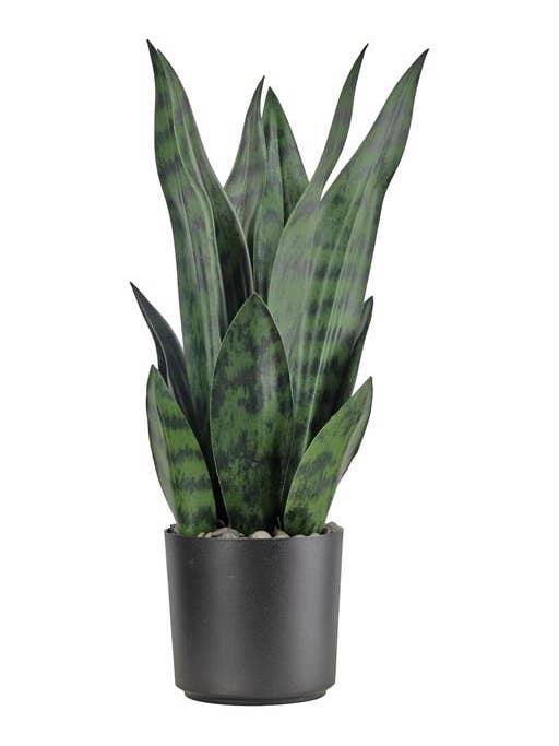 Snake Plant in Pot 15" Green for wholesale by Select Artificials, Inc.
