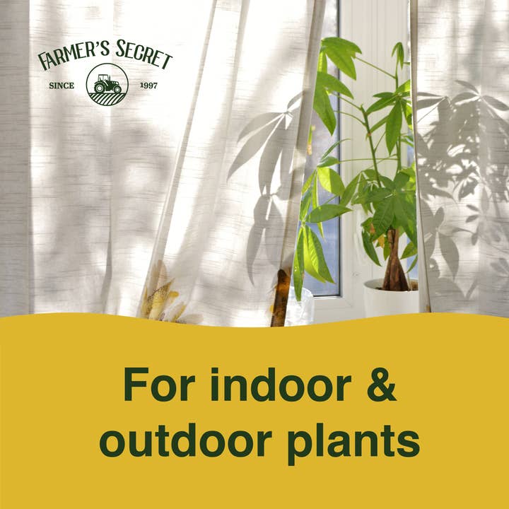 Farmer's Secret – wholesale Gödsel – Money Tree växtmat 8 oz