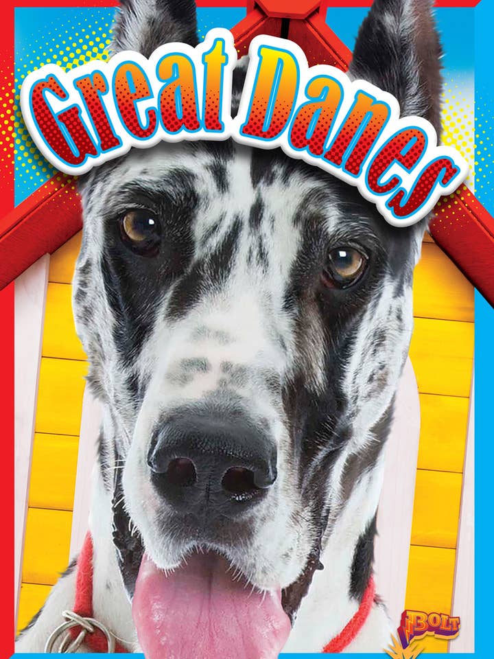 Great Danes for wholesale by Black Rabbit Books