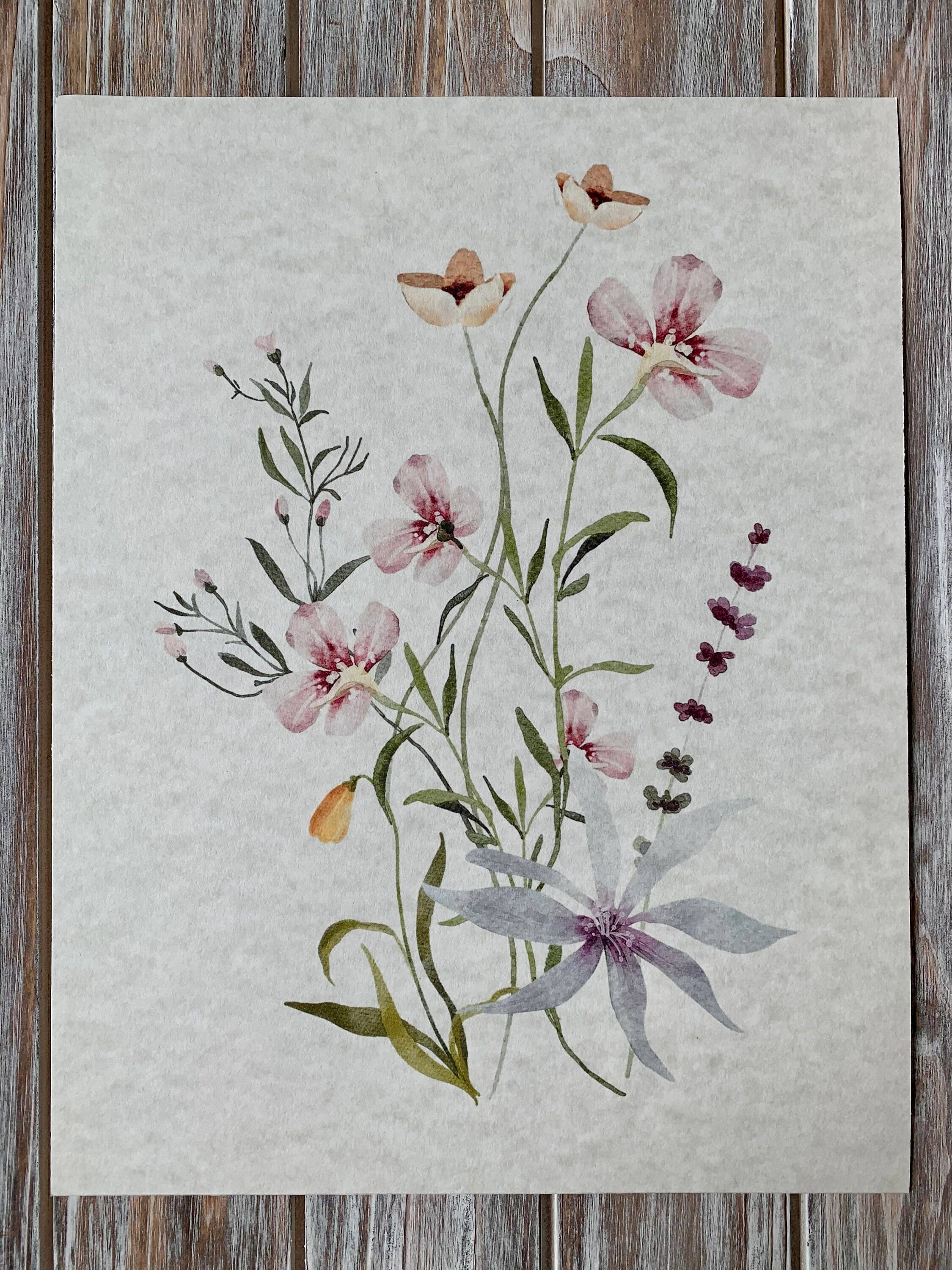 Magnifique Hearts - Wholesale Art Print - Set Of 3 Floral Art Prints, Delicate Botanical, Flowers, Pri3