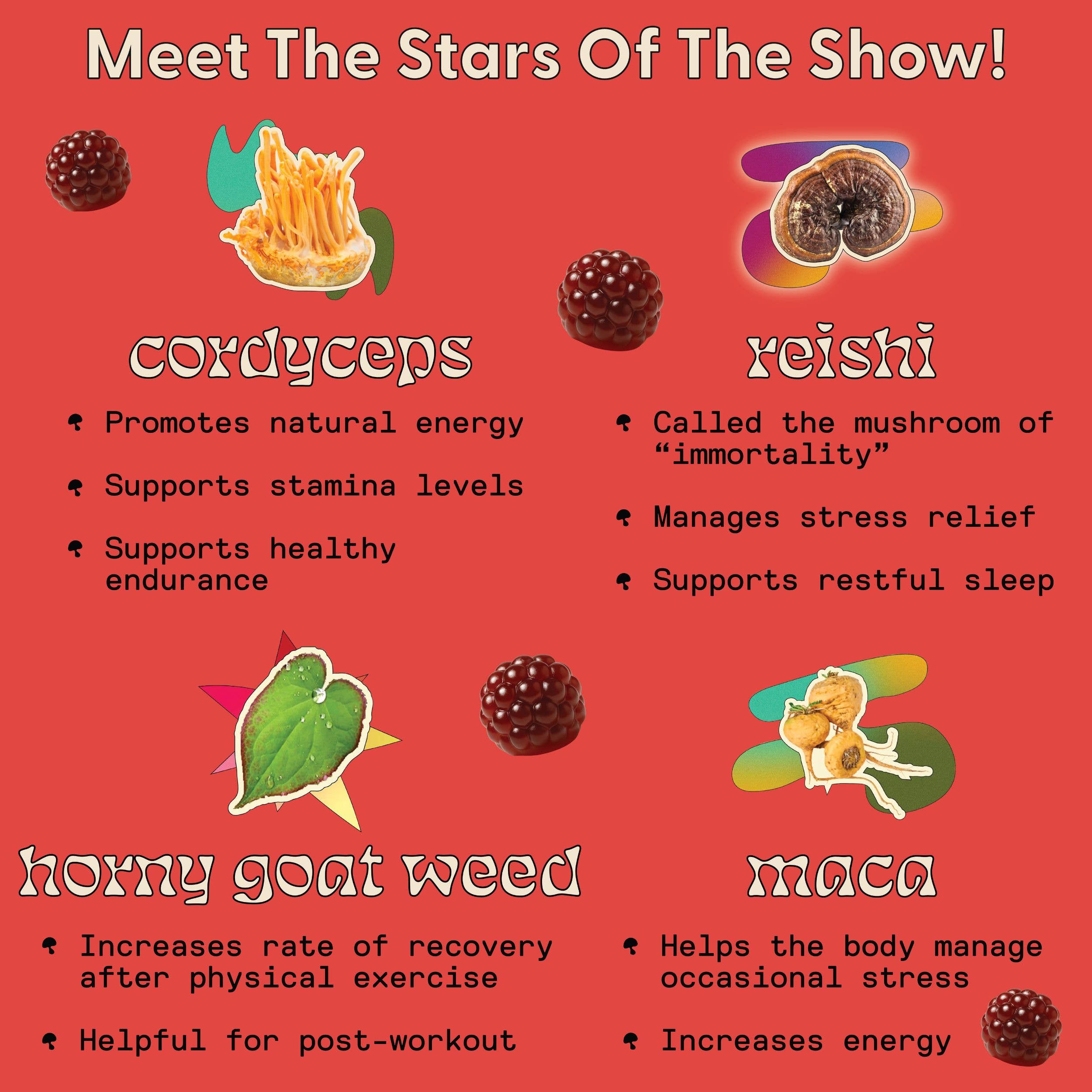 SuperMush – Großhandel Nahrungsergänzungsmittel/Vitamin zum Einnehmen – Tägliche Leidenschafts-Gummis3