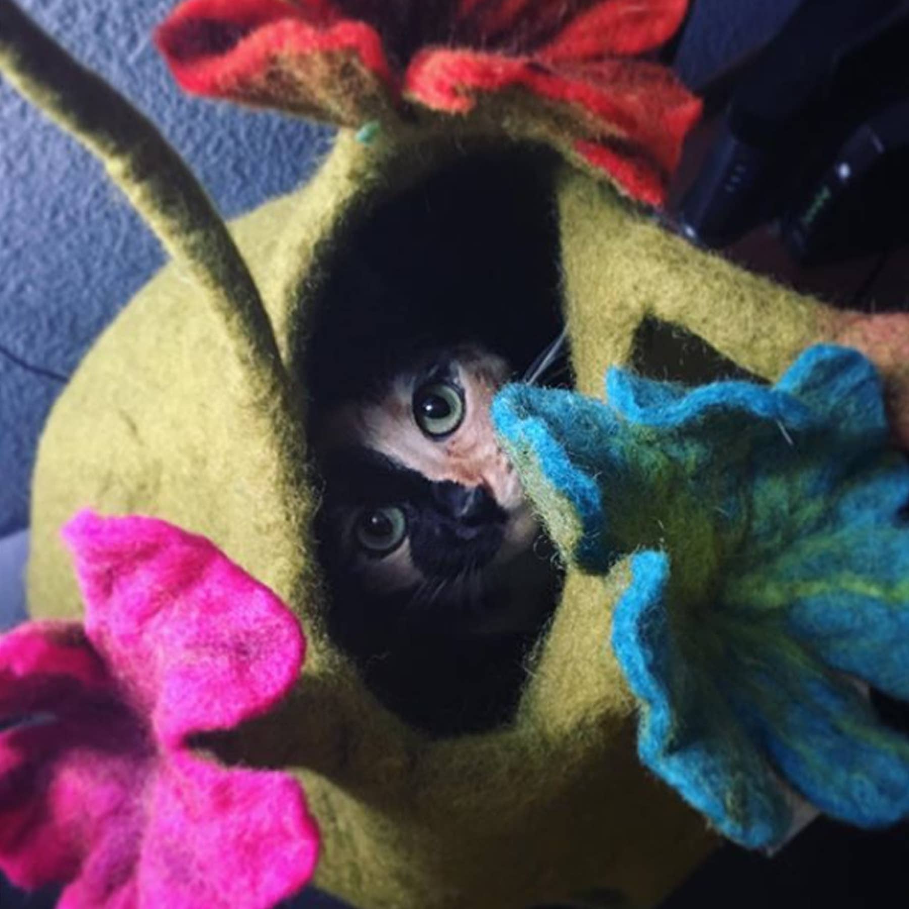 Karma Cat Inc. - Wholesale Pet Cave - Cat/Dog - Bouquet Wool Pet Cave2