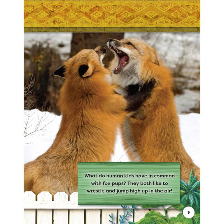 Fox Chapel Publishing – Großhandel Nature & Outdoors – Safari im Hinterhof für Kinder: ROTFÜCHSE (SC) - Erkunde ihre Welt1
