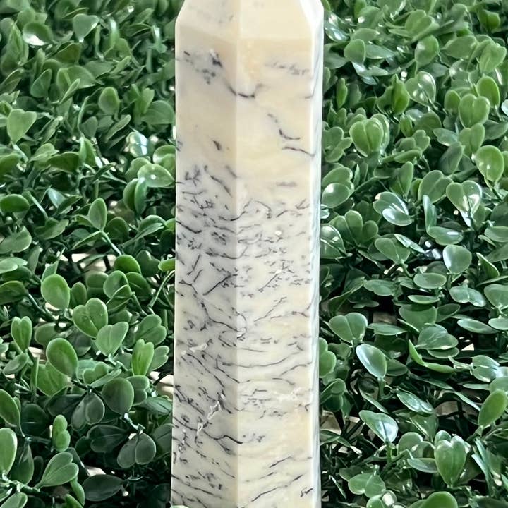 Tour Opale Dendritique 5-6" pour la vente par Vrinda