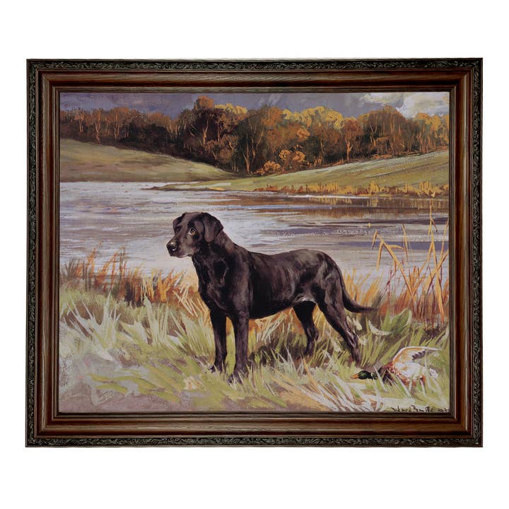Madison Bay Co. - Historical Home Decor Reproductions - Wholesale Art Print - Labrador Retriever with Duck Framed Painting Print on Canvas91