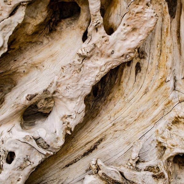 Aceite para barba Massebah para venta al por mayor de Judah Emmanuel 2627