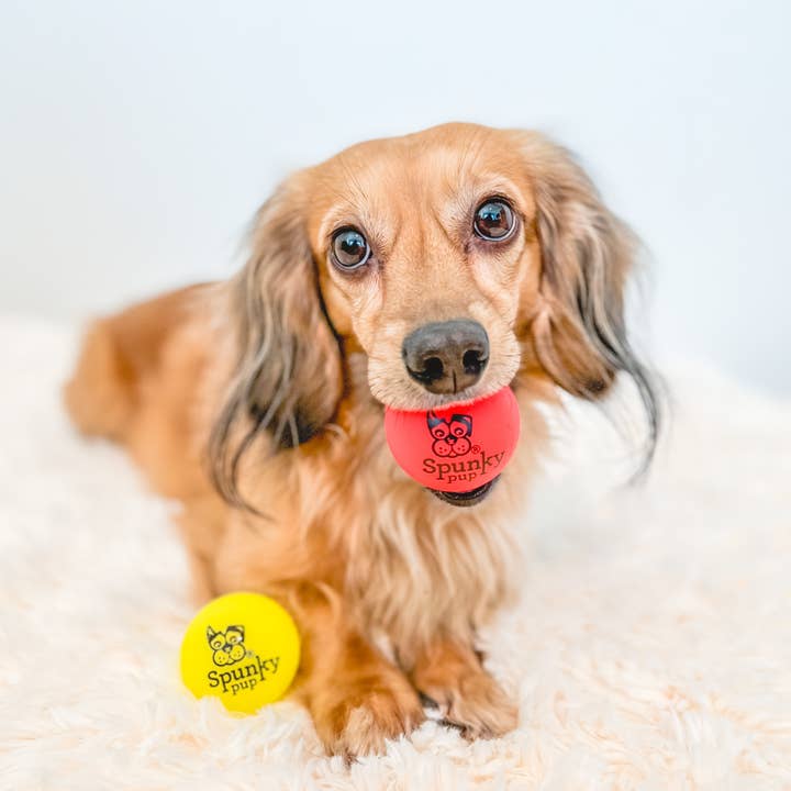Spunky Pup - Wholesale Pet Fetch Ball - Dog - Fetch and Glow Ball
