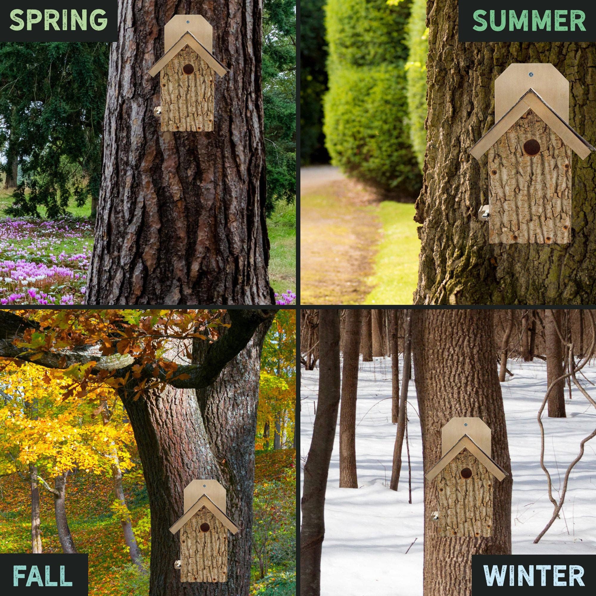 Kurated Korner – Großhandel Vogelhäuser – Onkel Dunkels ultimatives Vogelhaus von Zaunkönig und Chickadee4