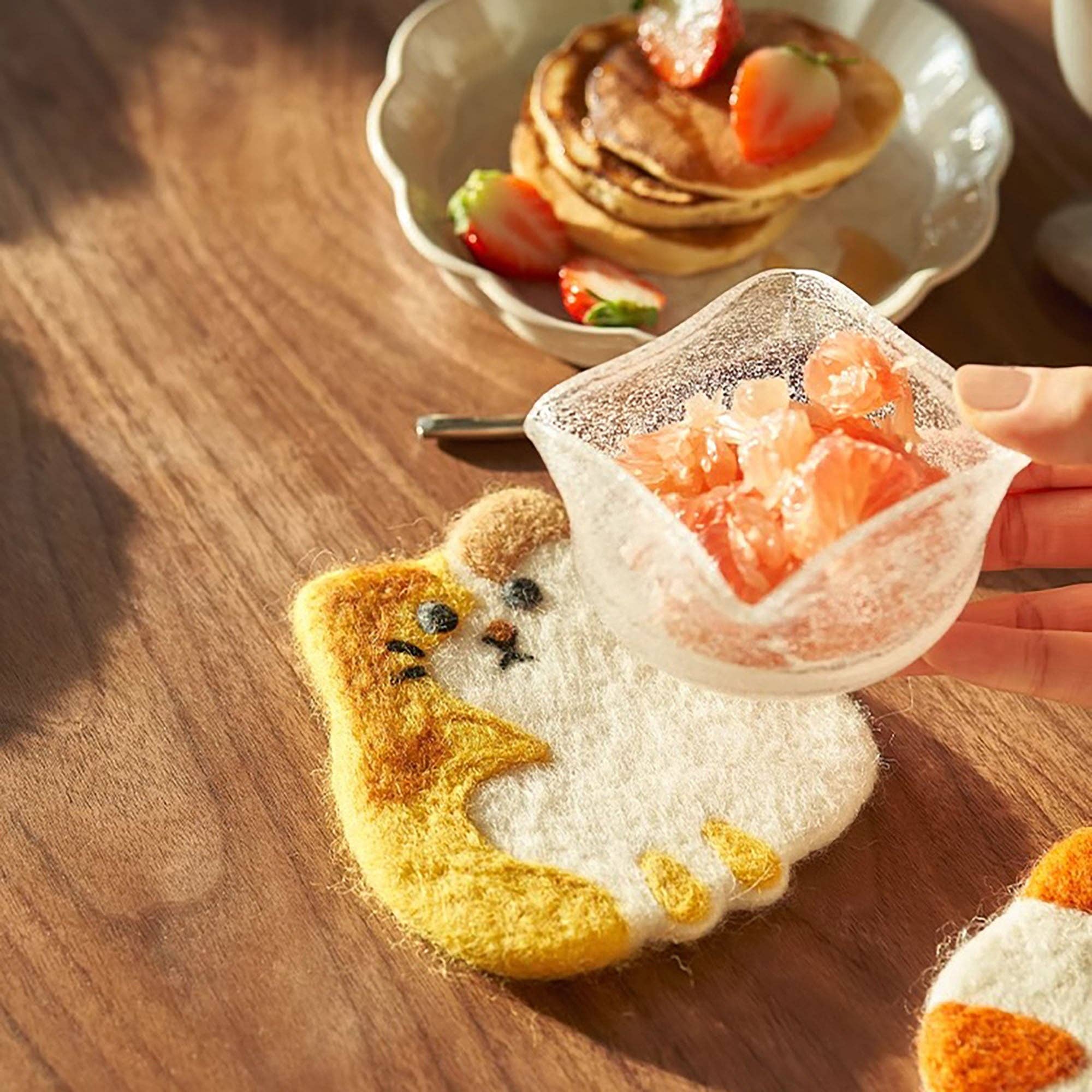 MinoCraft - Wholesale Coasters - Handmade felt coaster with animal patterns12