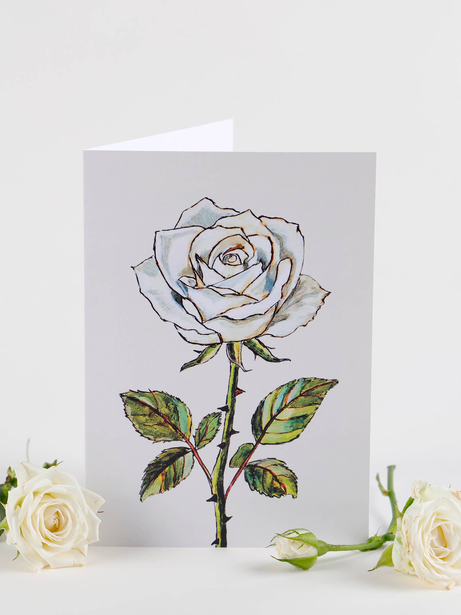 Flower Brick - Wholesale Everyday Greeting Card - A6 100% Recycled "White Rose" Greeting Card2