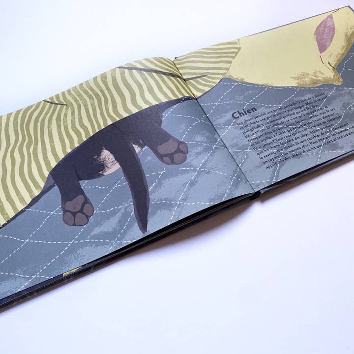 La Partie – wholesale Nature & Outdoors – How Animals Sleep / Documentary / Sleep / Nature4