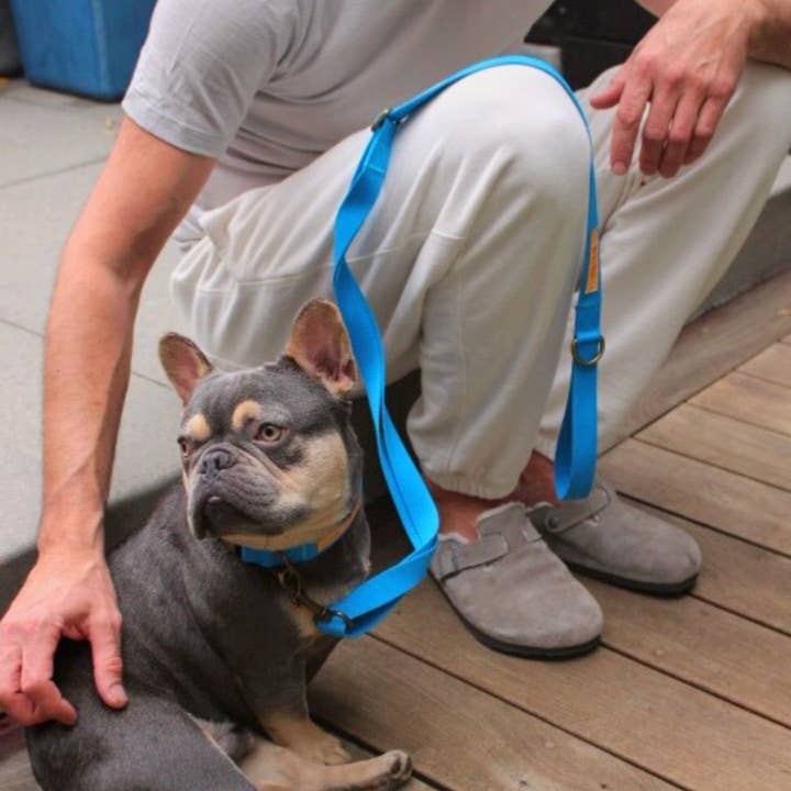 Tilley + Me - Wholesale Pet Leash - Dog - Hemp Cotton Dog Leash - Adjustable & Lightweight5