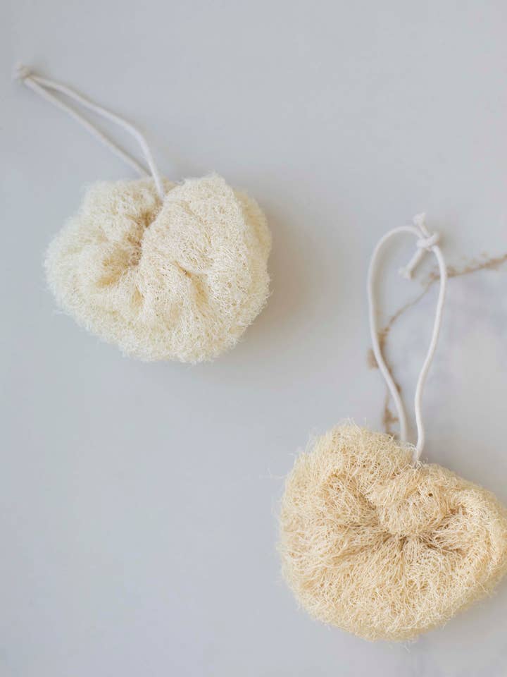Éponge luffa pour la vente par Fodory