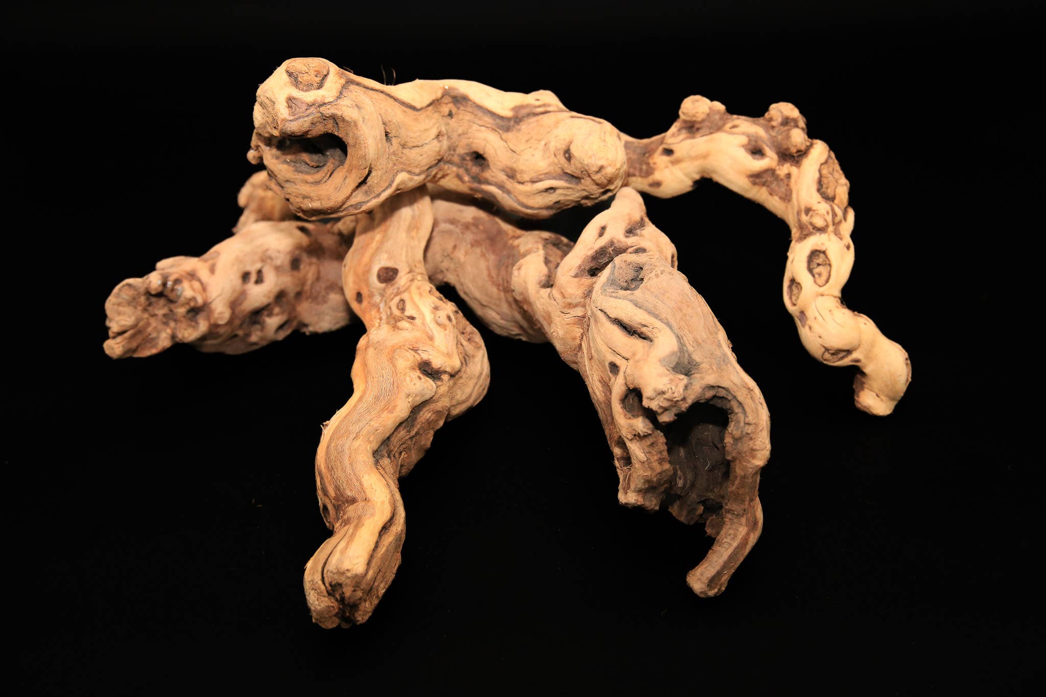 Forever Green Art - Wholesale Decorative Tabletop Object - Tumbled Grapewood Pieces1