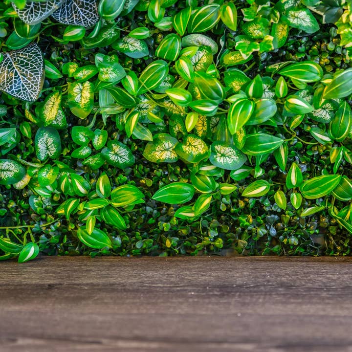 Green Goddess Incense Cones for wholesale by Beaches of Tunisia, LLC