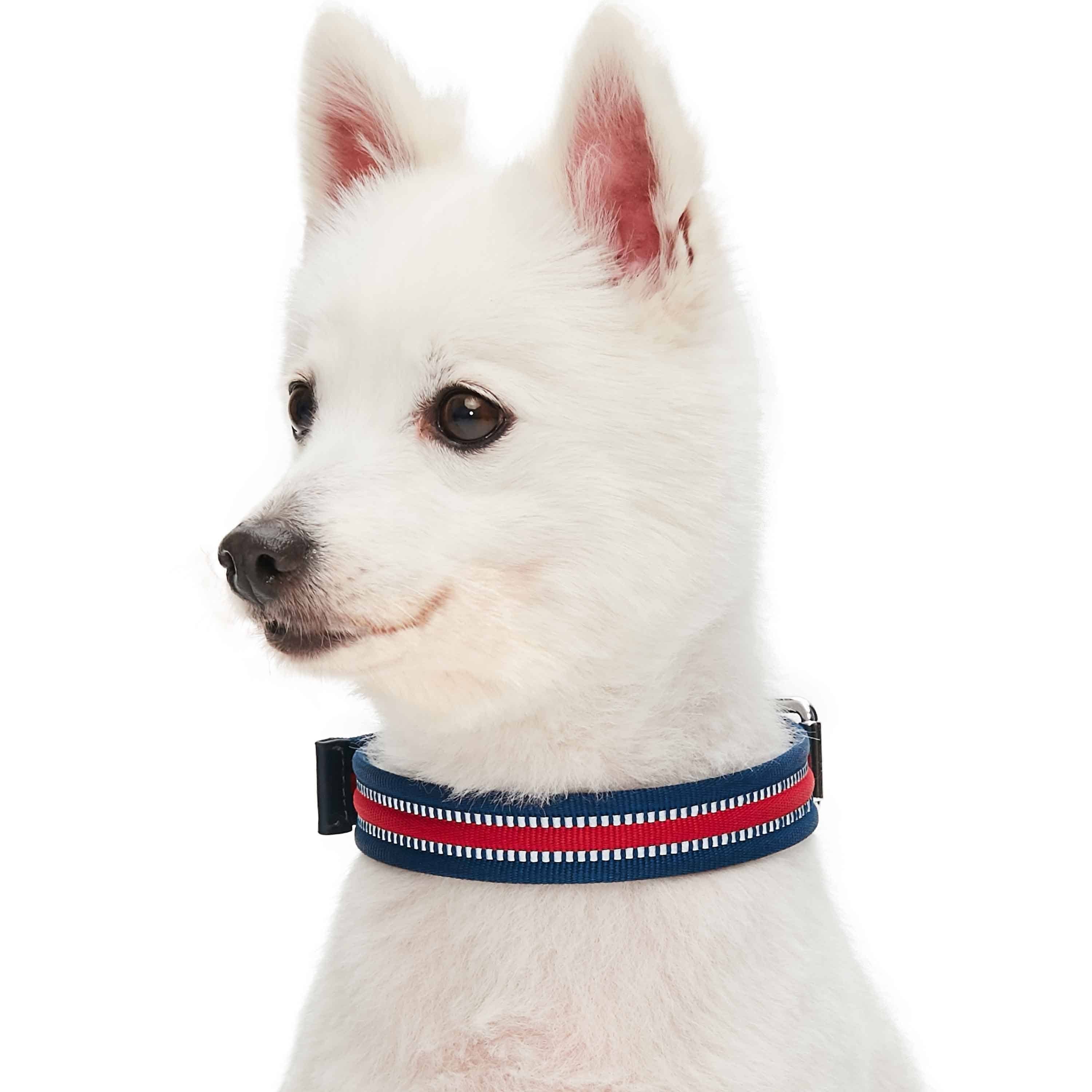 Blueberry Pet – wholesale Halsband - Hund – 3M Reflekterande Randig Hundhalsband – Hållbart & Stilfullt15