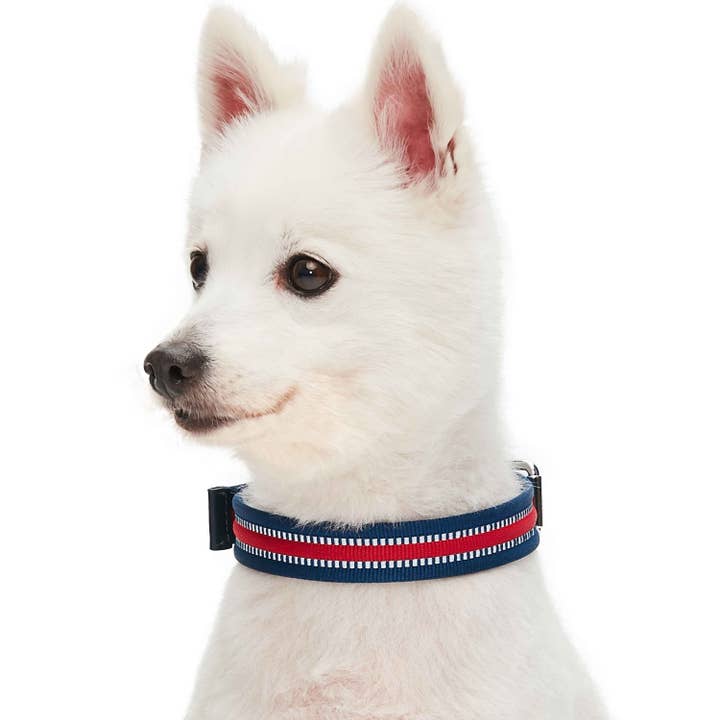 Blueberry Pet – wholesale Halsband - Hund – 3M Reflekterande Randig Hundhalsband – Hållbart & Stilfullt15