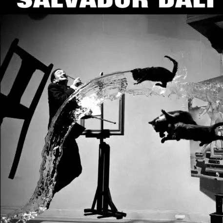 Books by splitShops - Wholesale Biography & Memoir - Aspects of Salvador Dali - Paperback