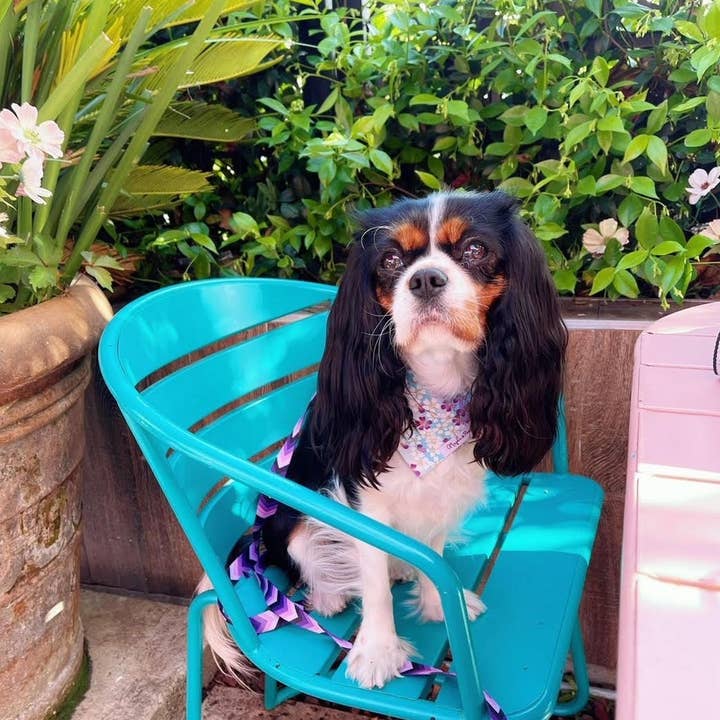 Bandana pour chien « Love in Bloom » pour la vente par Maple & Paws