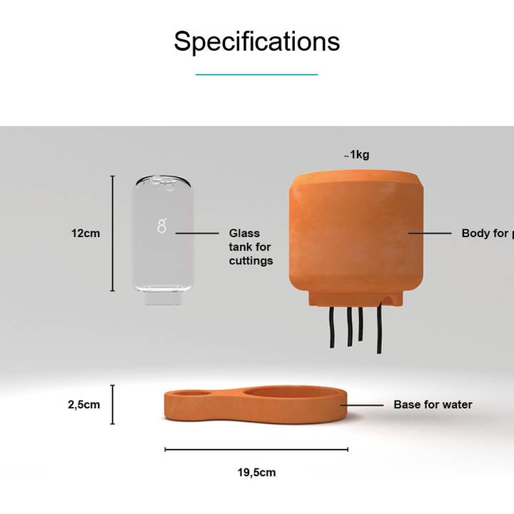 Greenfinity - Wholesale Plant Pot - Greenfinity - Cutting pot with self-watering system