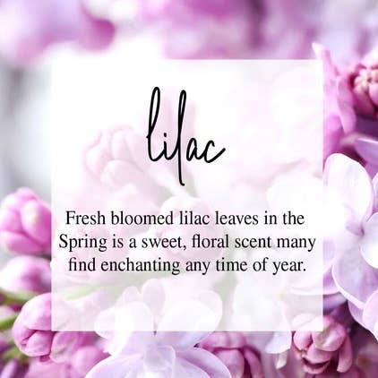 Timber Oak Candles - Wholesale Jar/Filled Candle - 8oz | 100% Pure Soy Mason Jar Candles | 40+ Scents5