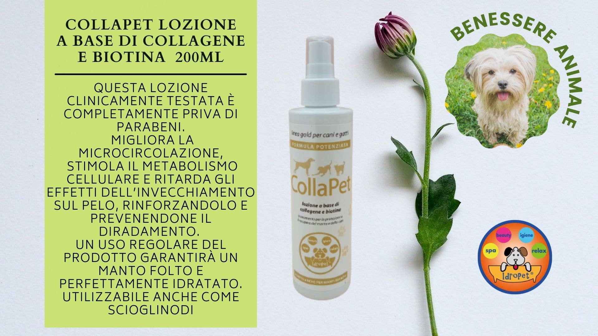 Idropet - Wholesale Pet Grooming Set - Dog - Pet Welfare Gift Box3