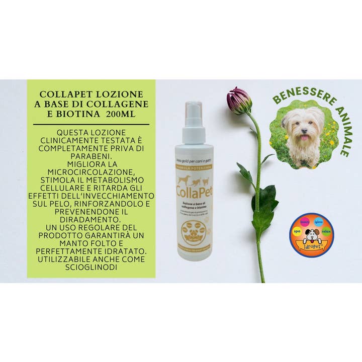 Idropet - Wholesale Pet Grooming Set - Dog - Pet Welfare Gift Box3