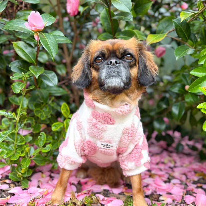The Paw Print Boutique - Wholesale Pet Coat - Dog - The Peony Pink Floral Fleece12