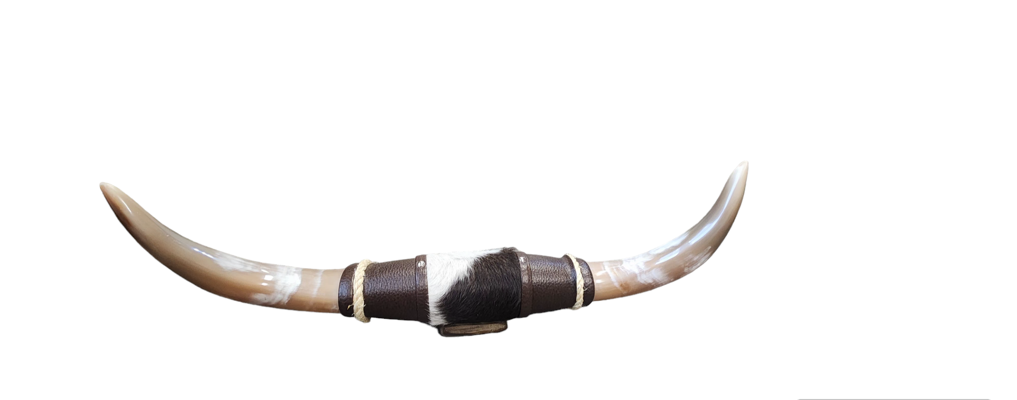 Luises Perez Imports LLC - Wholesale Wall Accent - Assorted Small horns3