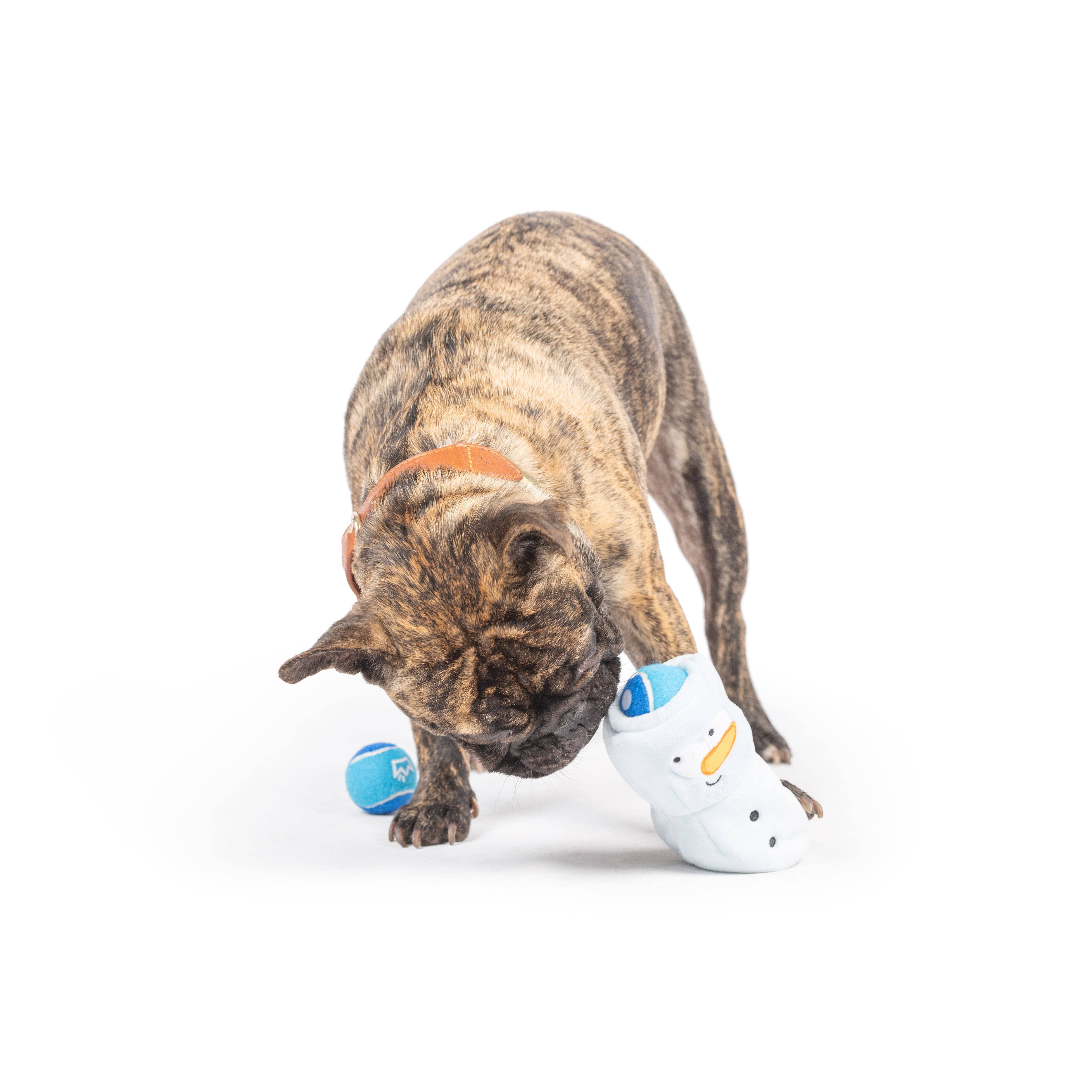 Huxley & Kent - Wholesale Pet Squeaky Toy - Dog - Squeak 'n Peek Frosty Snowman Dog Toy6