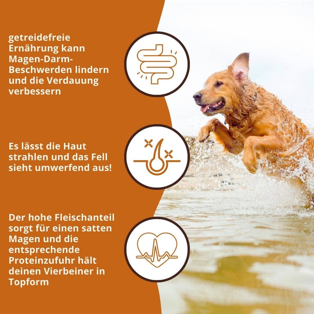 WILDFANG - Wholesale Pet food – Dog - Dry food economy pack 2 x 2 kg with tuna fish - grain-free6