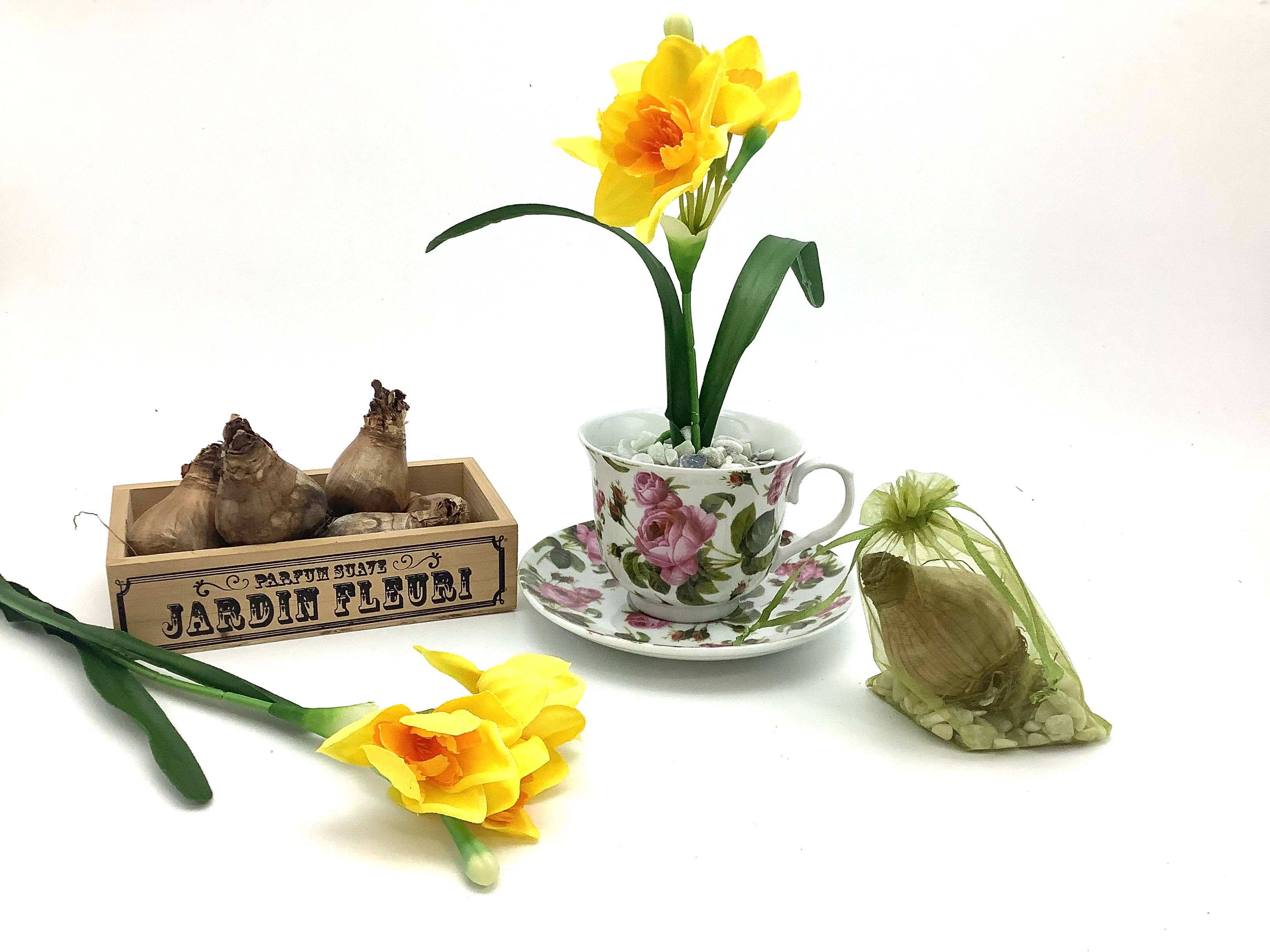 All Little Cute Things - Wholesale Party Favor - Dutch Daffodil Bulb in a Teacup, Garden Tea Party Favors8