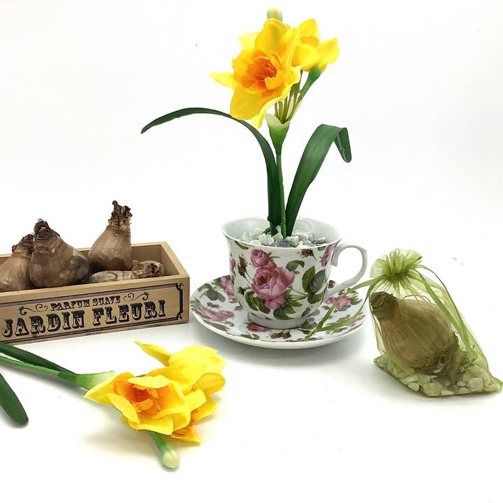 All Little Cute Things - Wholesale Party Favor - Dutch Daffodil Bulb in a Teacup, Garden Tea Party Favors8