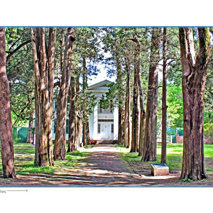 Rowan Oak - Oxford, MS Fotoprint for engroshandel hos Carper Creative Co.