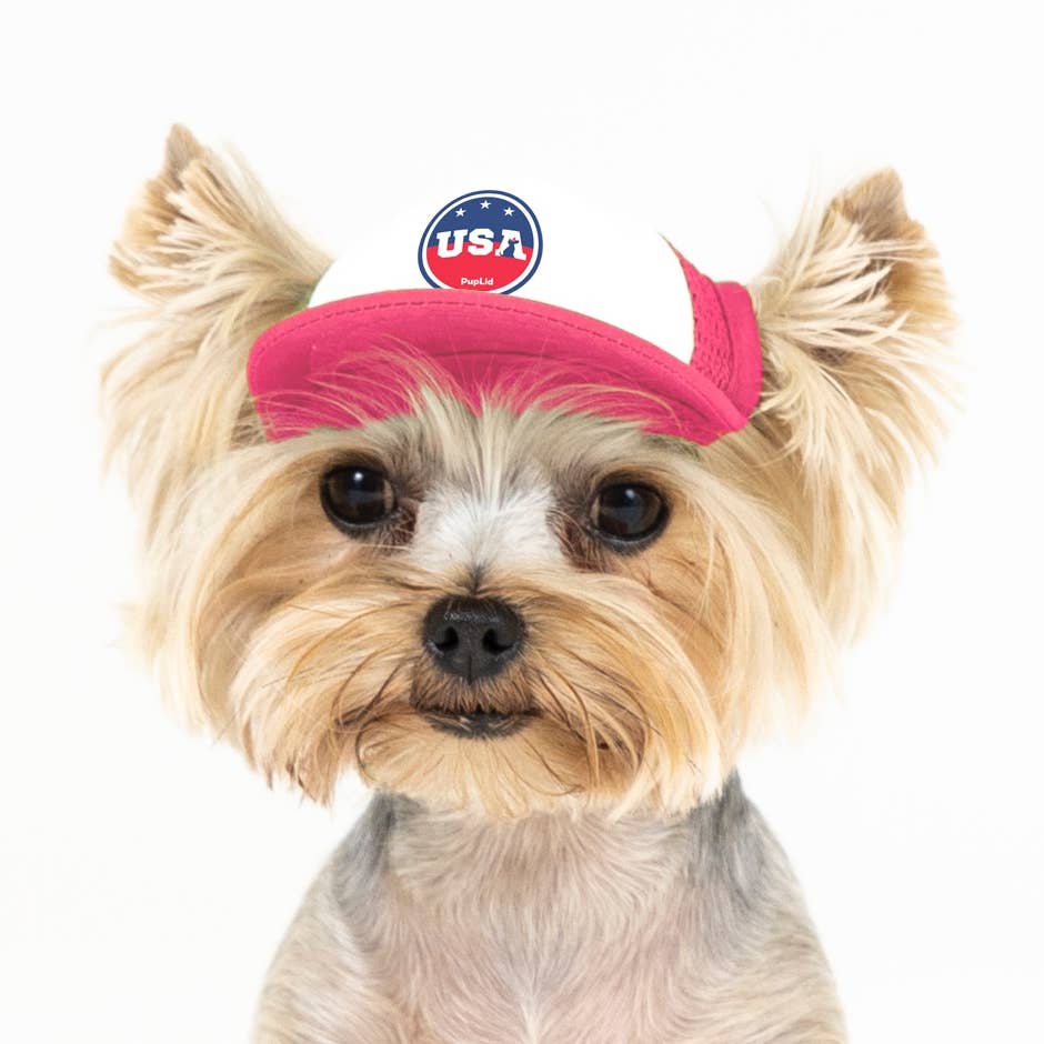PupLid – wholesale Hatt - Hund – USA Stars Design l Truckerhatt för hundar25