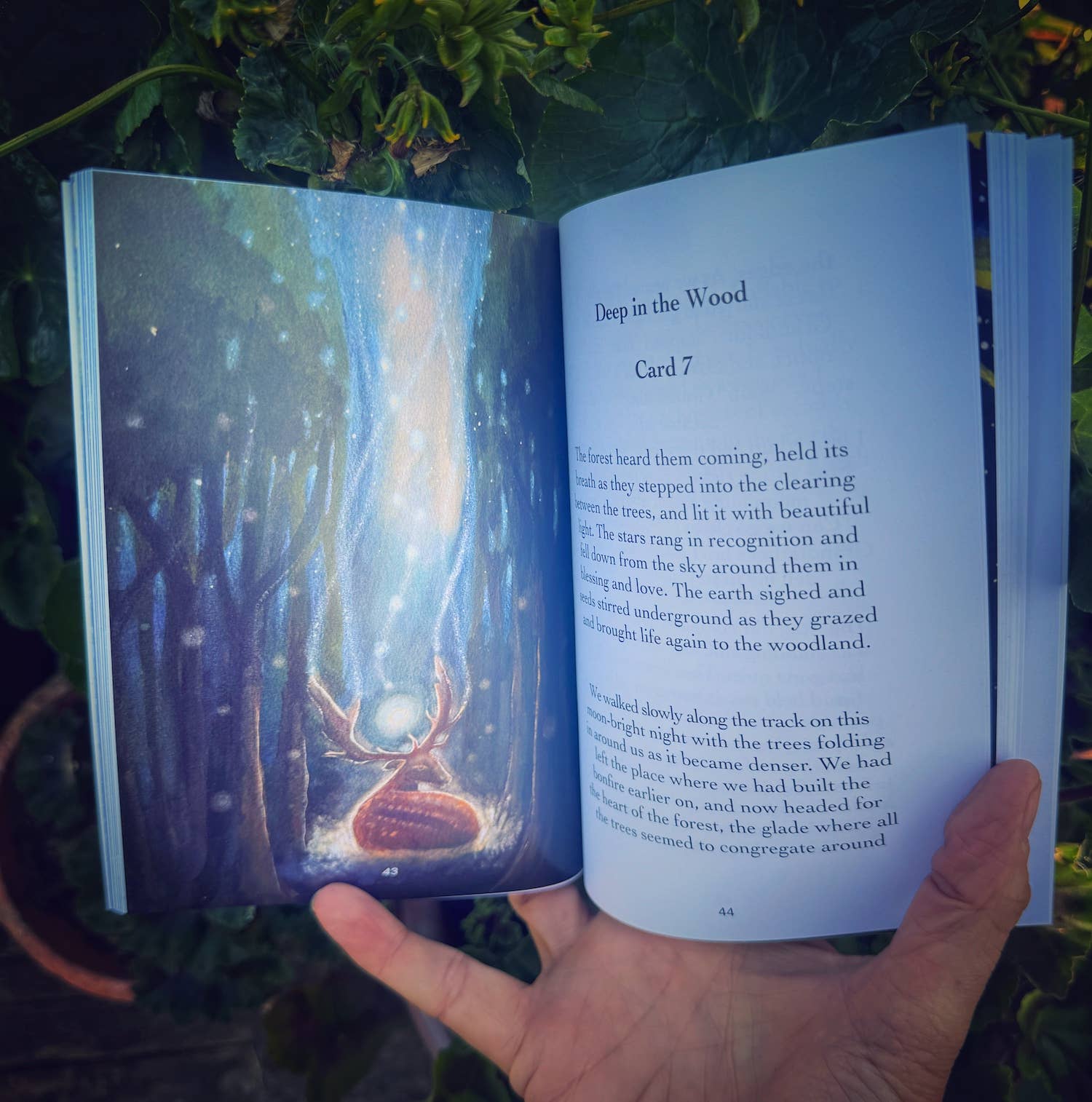 Hannah Willow Art - Wholesale Tarot Cards - Oracle stand, card set and book. handmade in our studio5