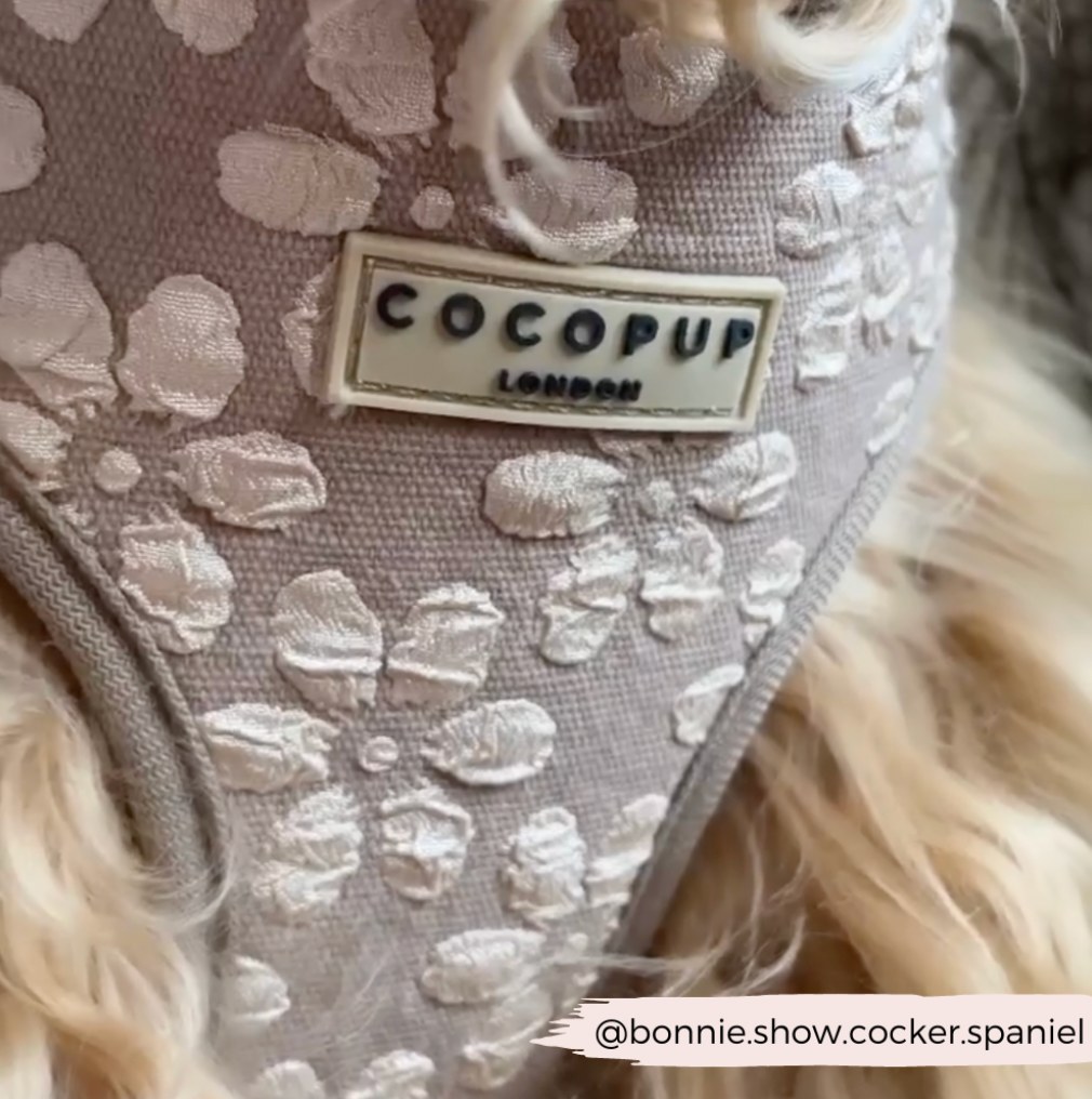 Cocopup London - Wholesale Pet Harness - Dog - LUXE Adjustable Neck Harness - Mocha Flower4