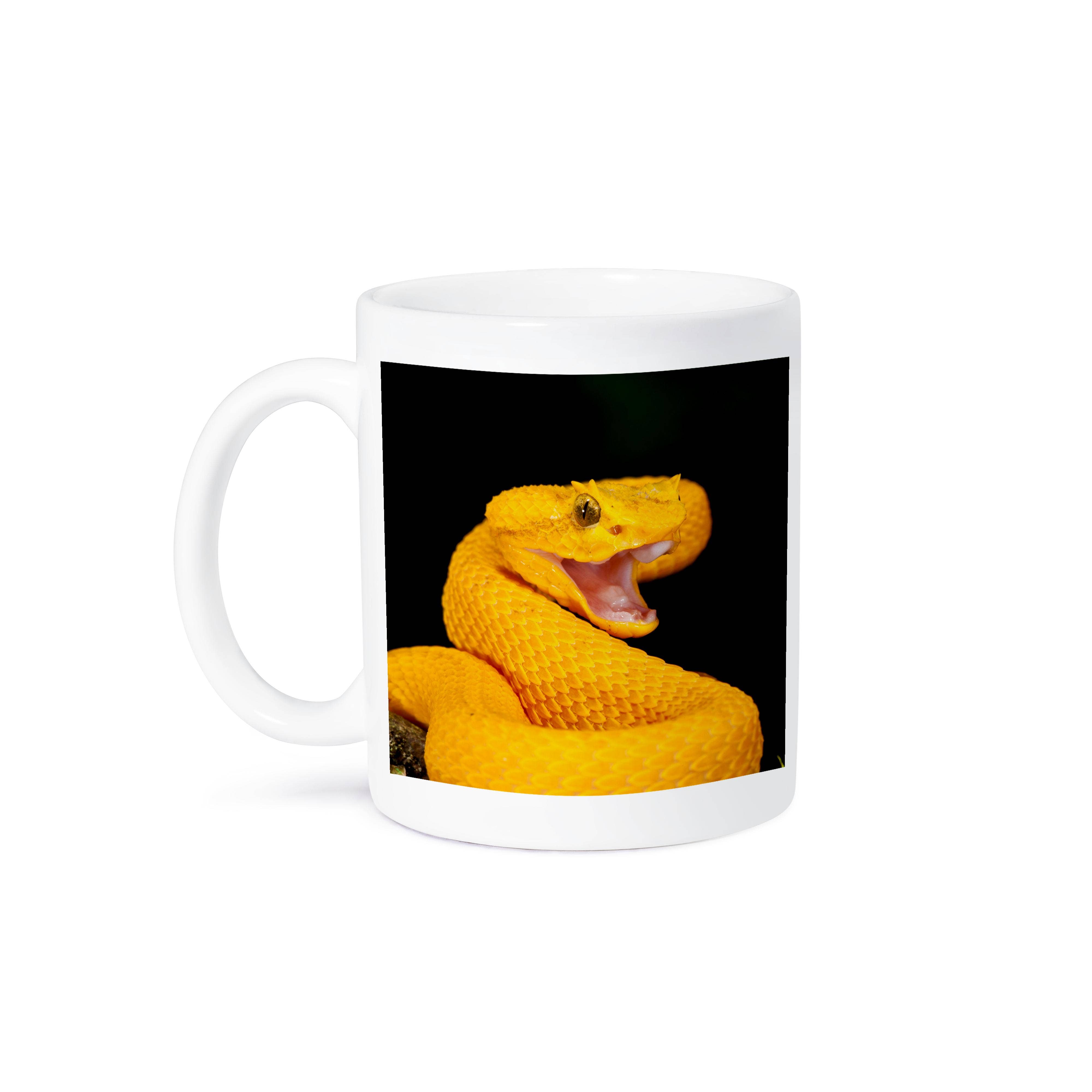 3dRose - Wholesale Coffee Mug - 3dRose, Eyelash Viper snake - NA02 DNO0896 - David Northcott, Mug8