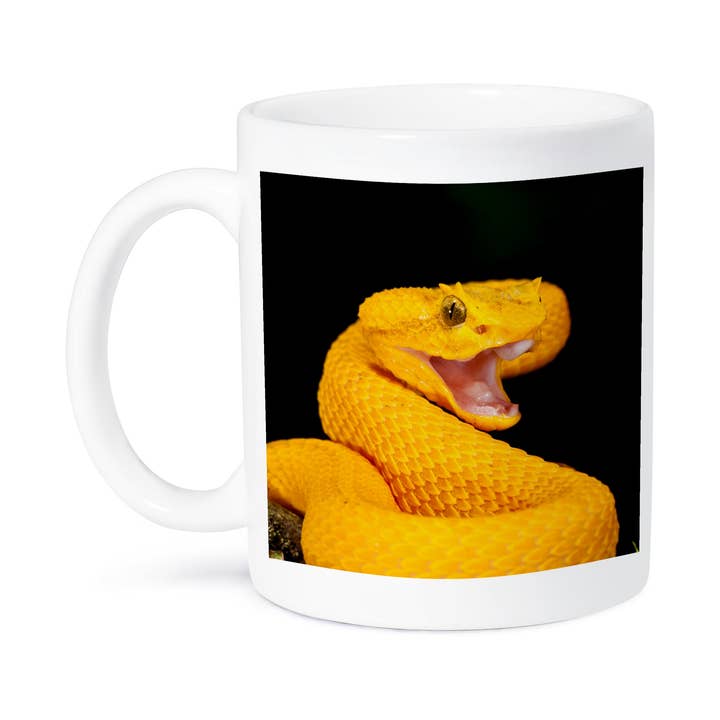 3dRose - Wholesale Coffee Mug - 3dRose, Eyelash Viper snake - NA02 DNO0896 - David Northcott, Mug8
