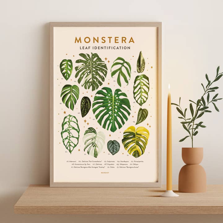 Monstera Plant Poster for wholesale by ReRoot