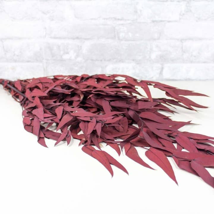 Preserved Seeded Willow Eucalyptus - Burgundy for wholesale by Sola Wood Flowers