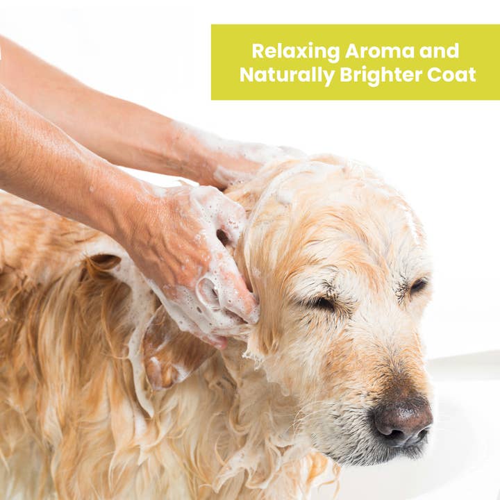 Aroma Paws - Wholesale Pet shampoo – Dog - 13.5 Oz. Shampoo Lemongrass Vanilla Bean6