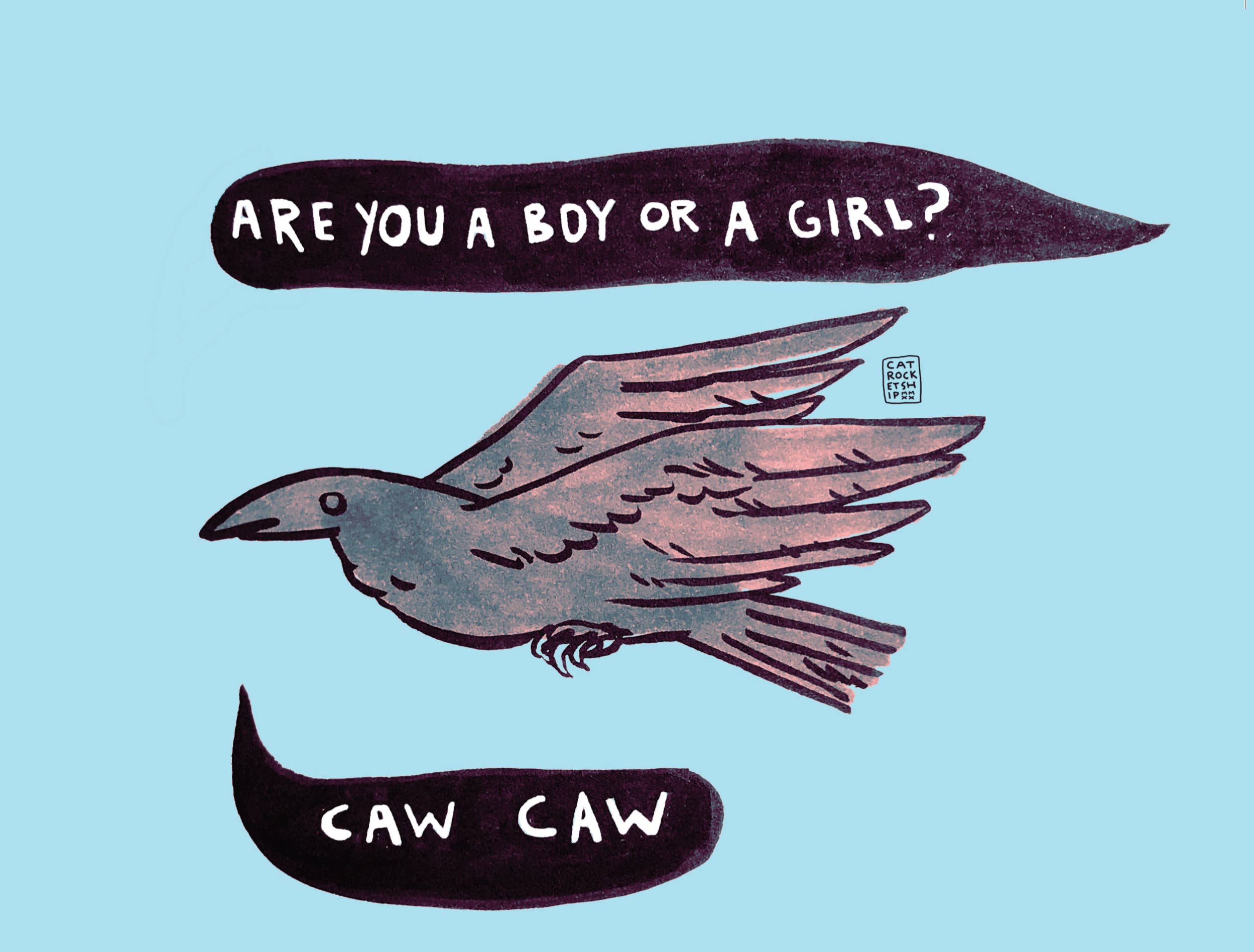 Cat Rocketship - Vente Affiche d'art - Es-tu un garçon ou une fille ? Genre : corbeau, impression 8 x 10, 5 x 72