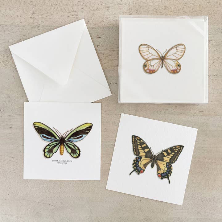Coffret de cartes/Papillons et mites pour la vente par Yeesan Loh