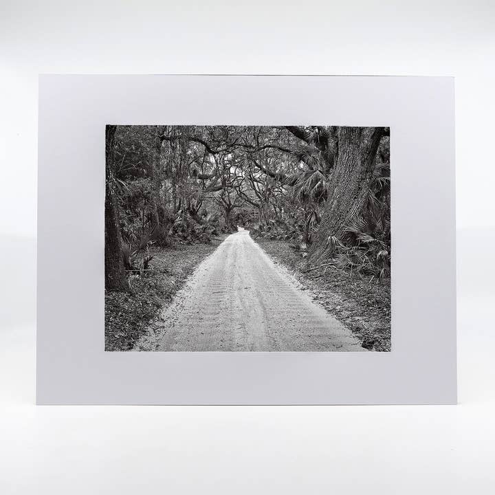 Artwork-Into the Canopy for wholesale by Mike Ring Photography