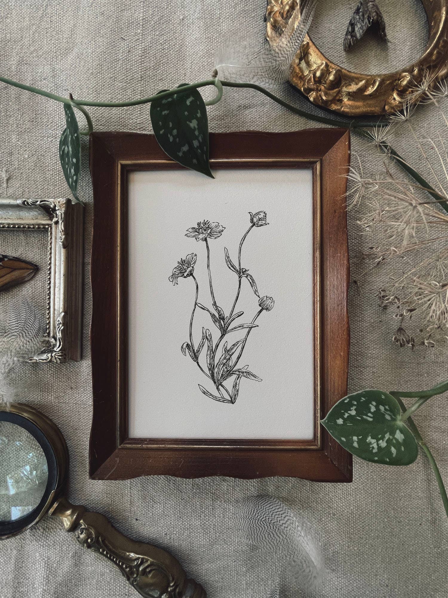 Kara Valentino Ffield Art - Wholesale Art Print - Daisy |  Art Print 9